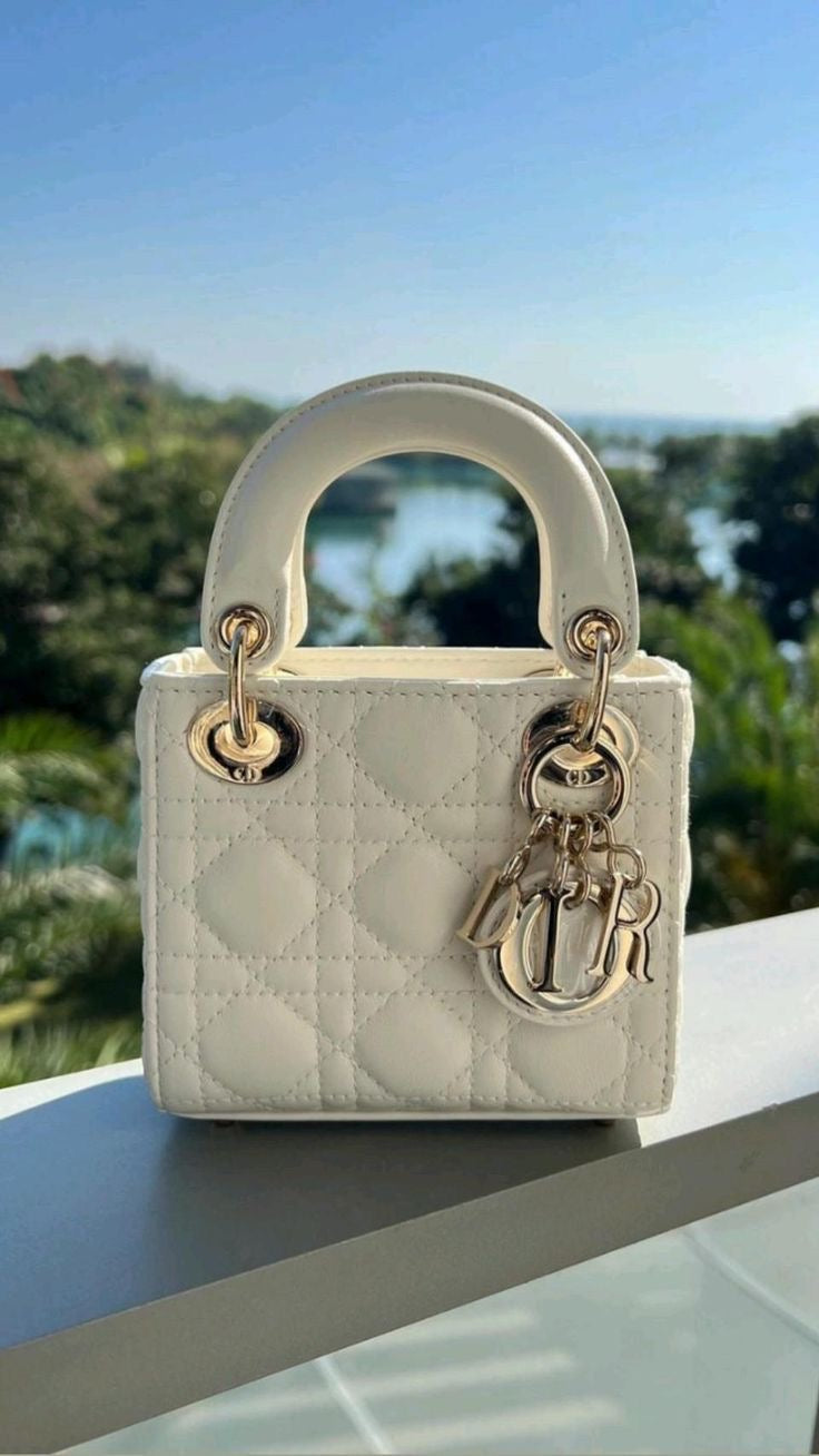 Lady Dior Hand Bag
