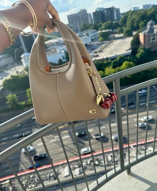 Coach Hand Bag